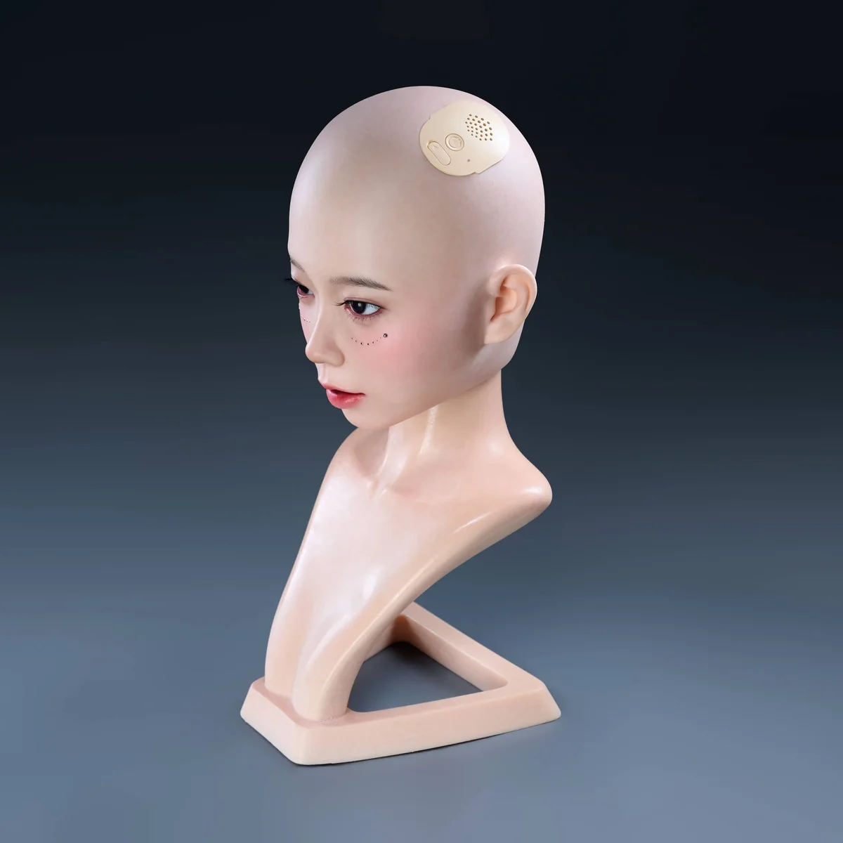 Irontech IronAI Head, producentfoto